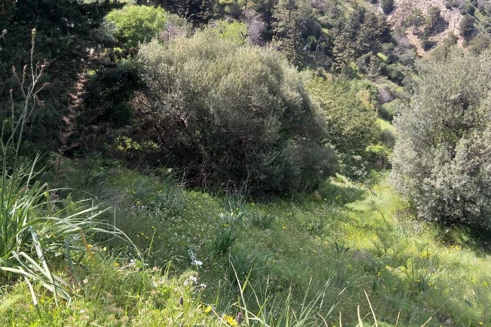 Photo of Others in Karavas
