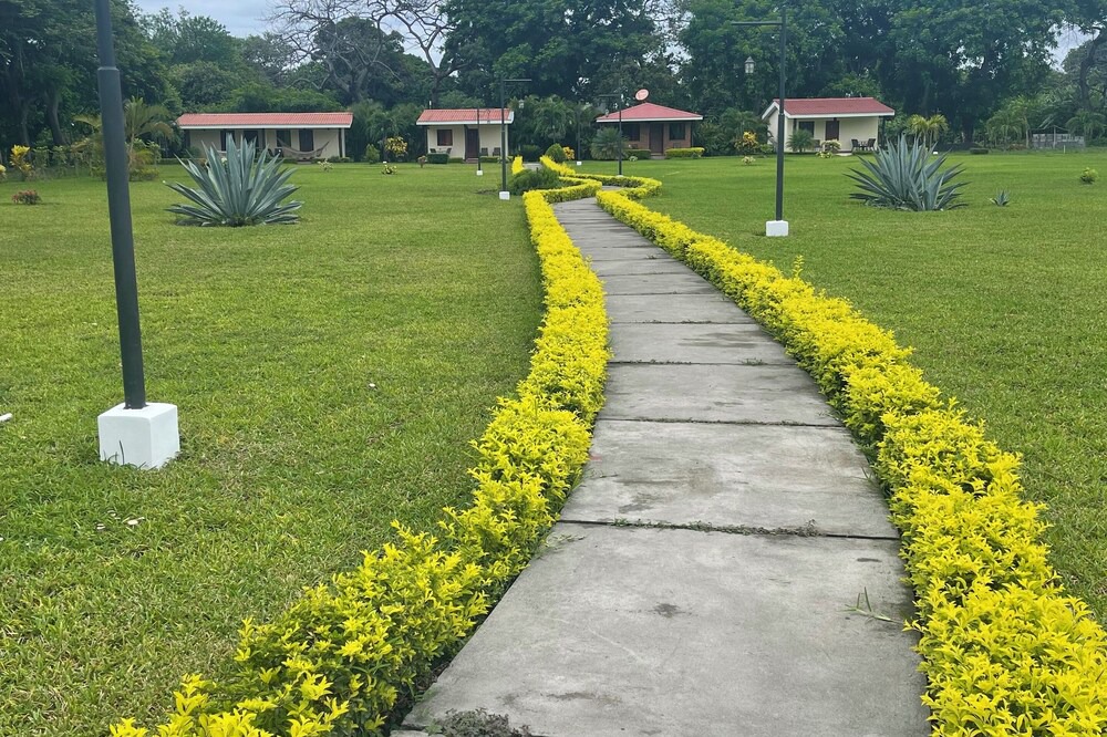 Photo of Outdoor in Ometepe Island