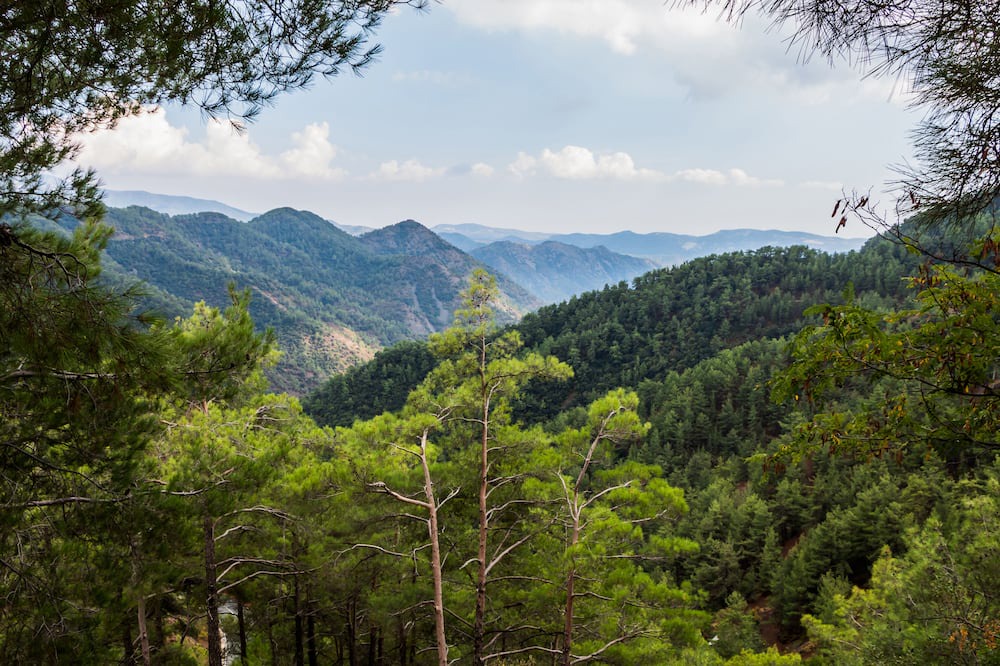 Photo of Outdoor in Arsos