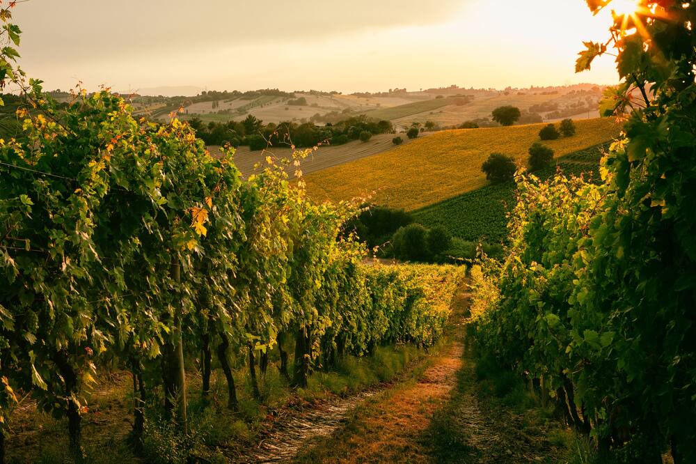 Photo of Outdoor in Arsos