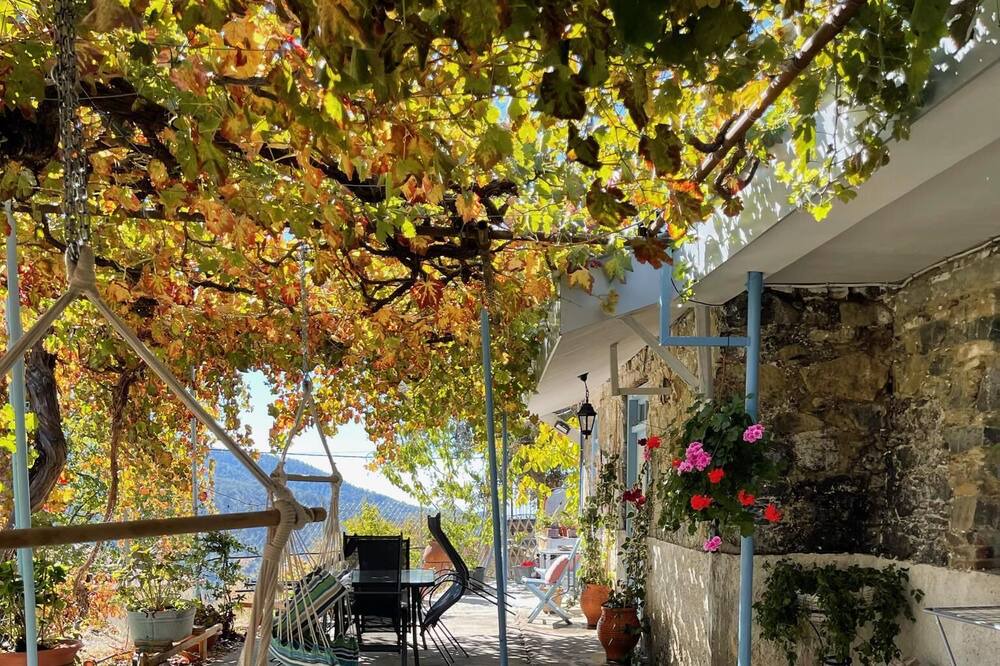 Photo of Others in Prodromos