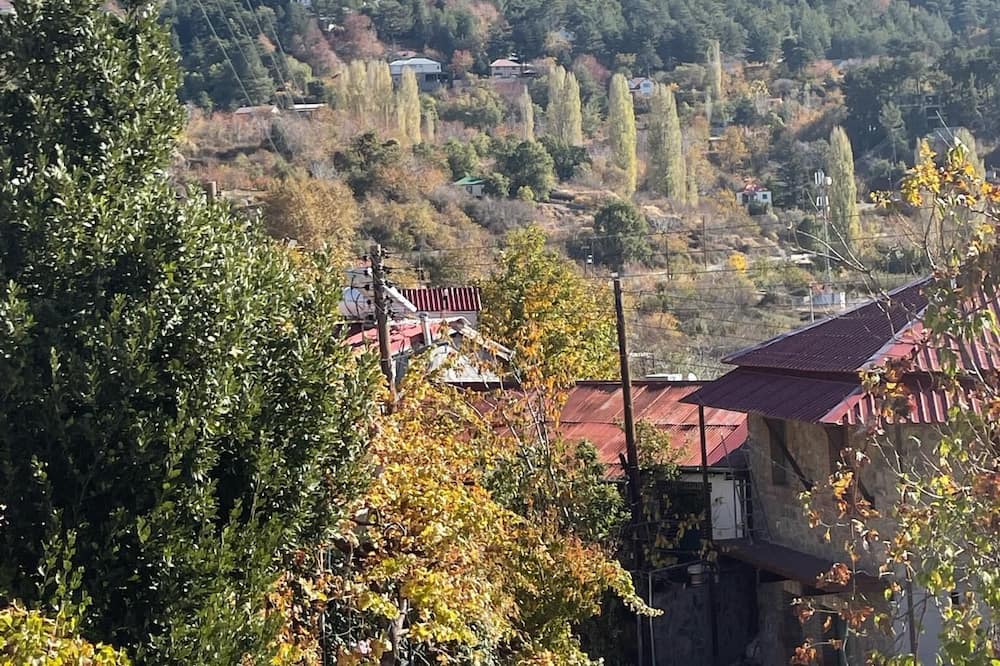 Photo of Others in Prodromos