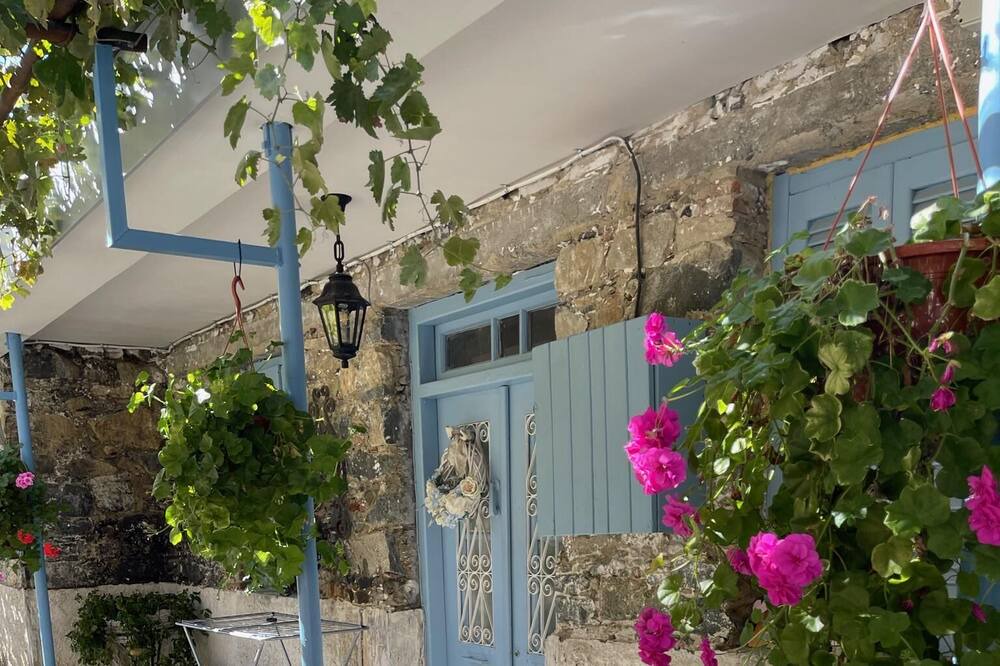 Photo of Others in Prodromos