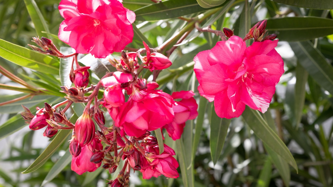 Photo of Outdoor in Akrotiri