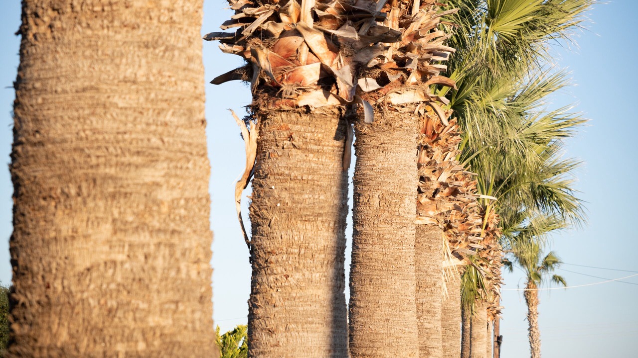 Photo of Outdoor in Akrotiri
