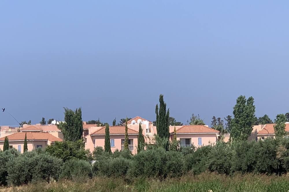 Photo of Others in Mandria