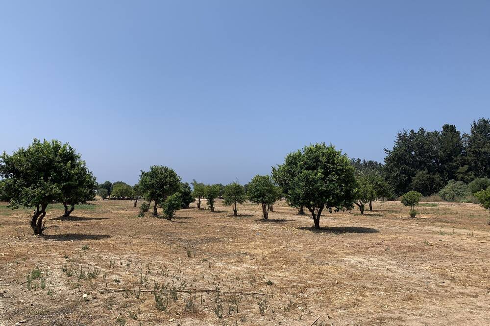 Photo of Others in Mandria