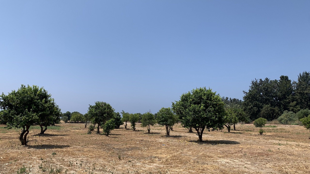 Photo of Outdoor in Mandria
