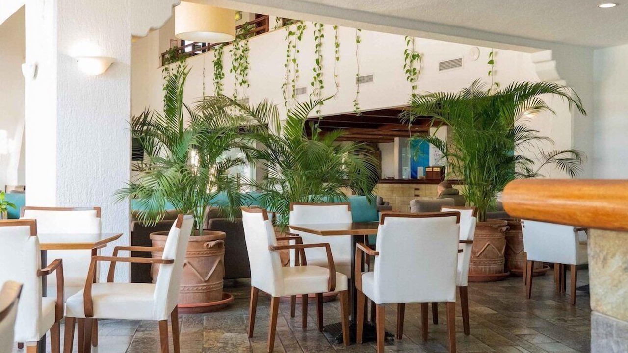 Photo of Outdoor in Paphos