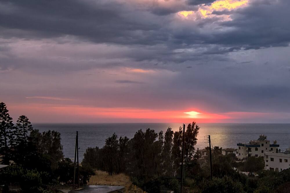 Photo of Others in Pomos