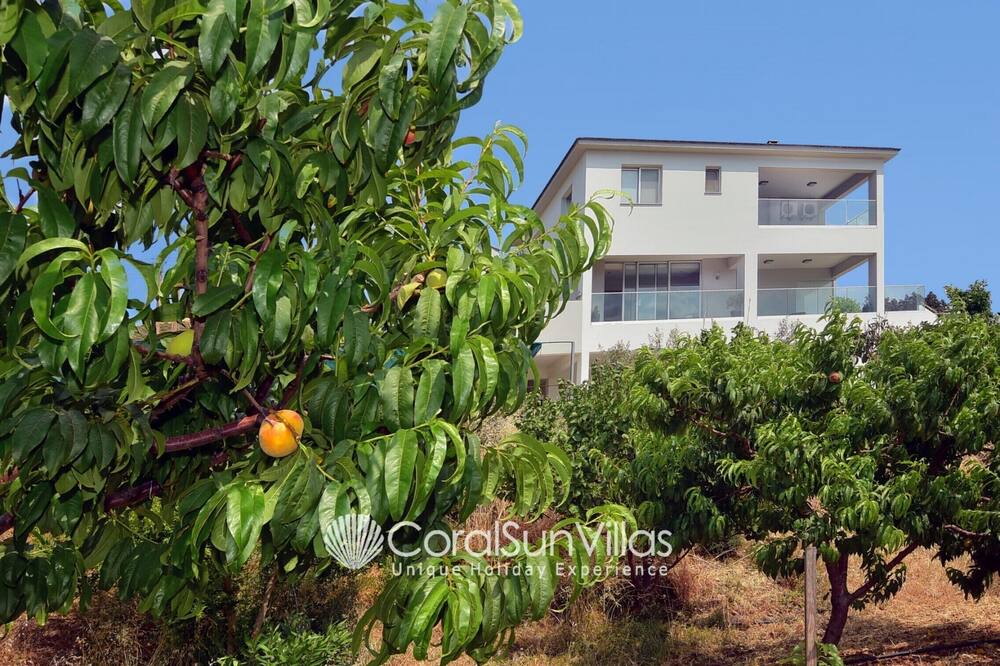 Photo of Outdoor in Pomos