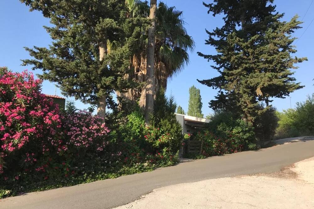 Photo of Outdoor in Droushia