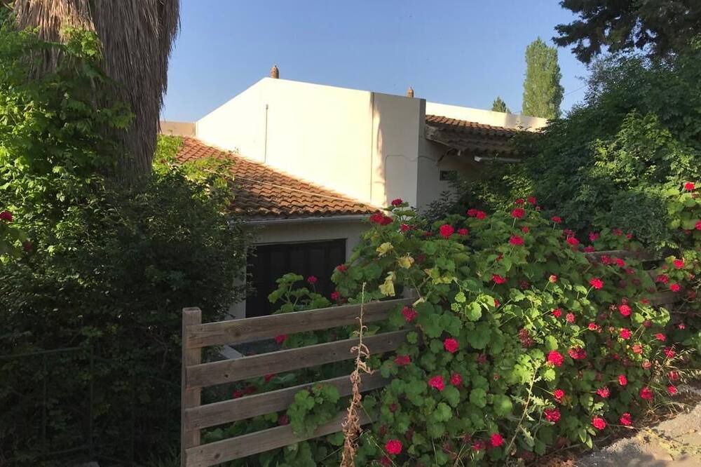 Photo of Outdoor in Droushia