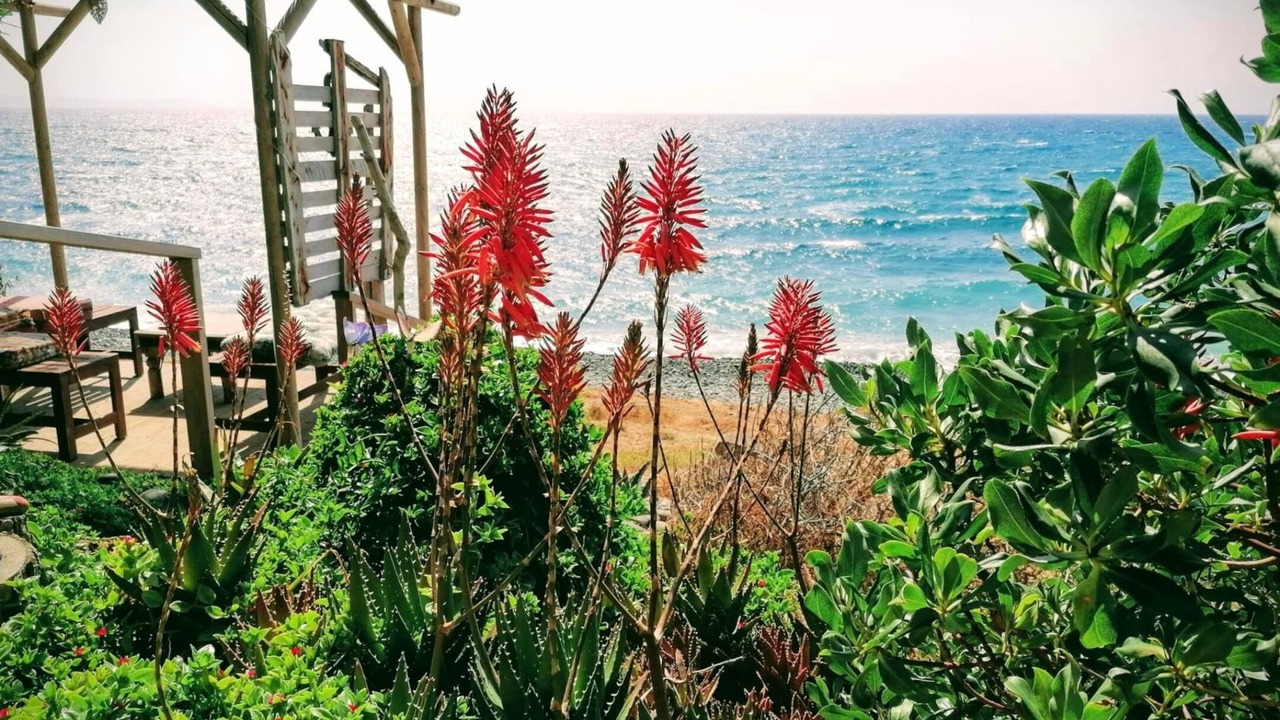 Photo of Outdoor in Pomos