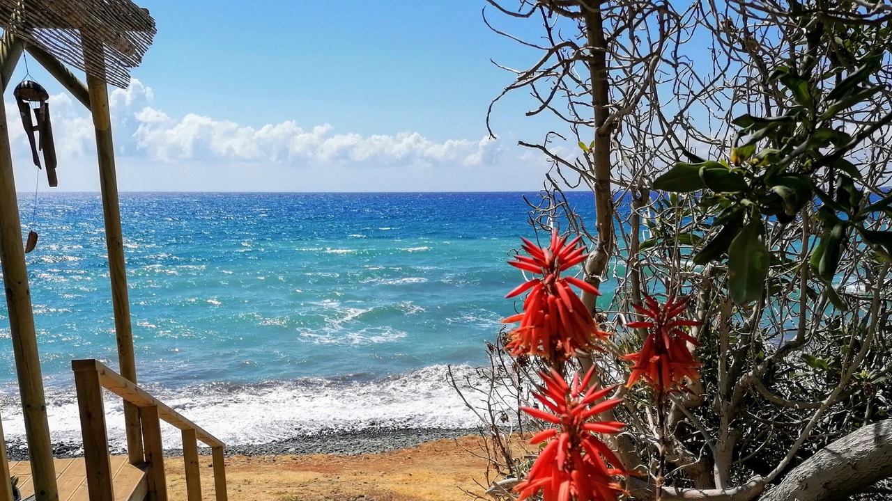 Photo of Outdoor in Pomos