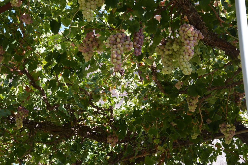 Photo of Outdoor in Vasa Koilaniou