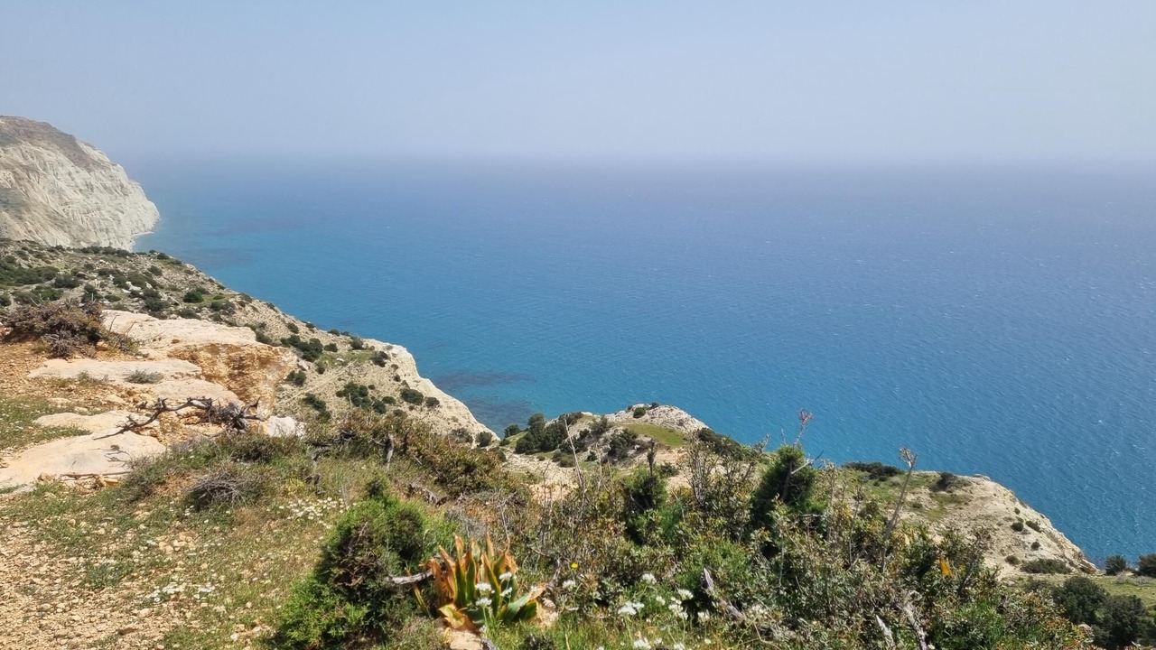 Photo of Others in Pissouri