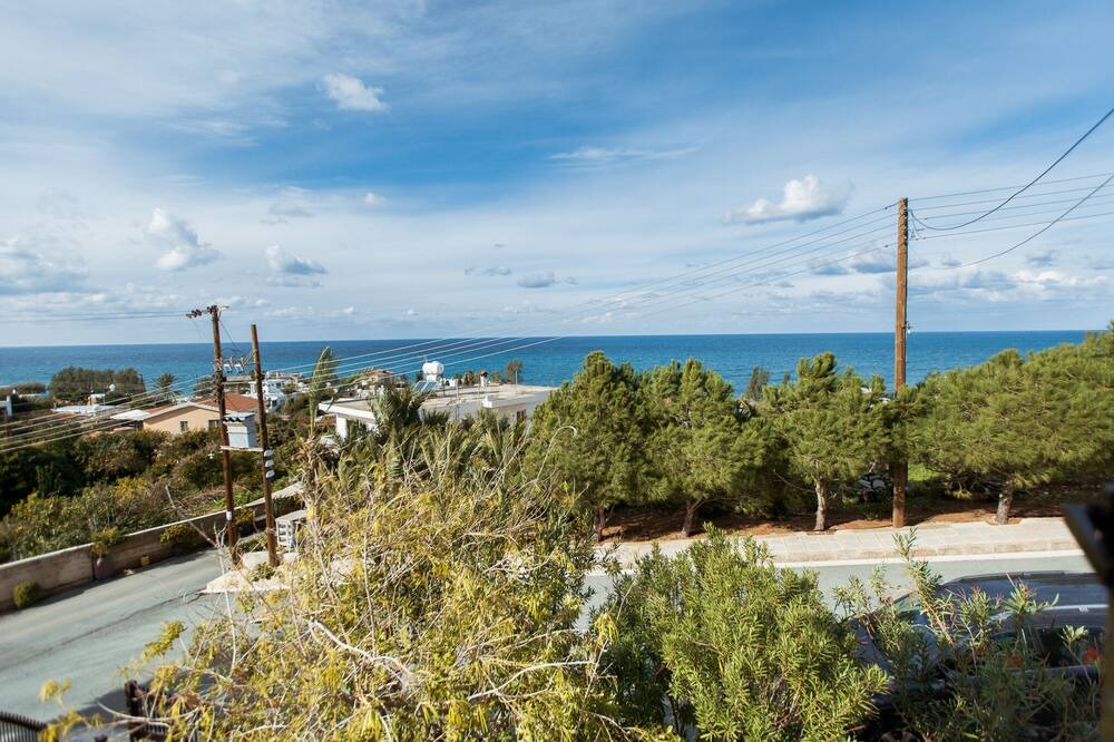 Photo of Others in Pomos