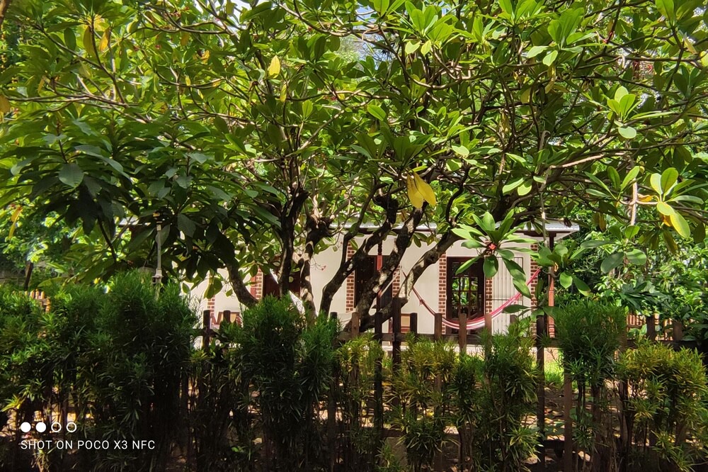 Photo of Outdoor in Chinandega