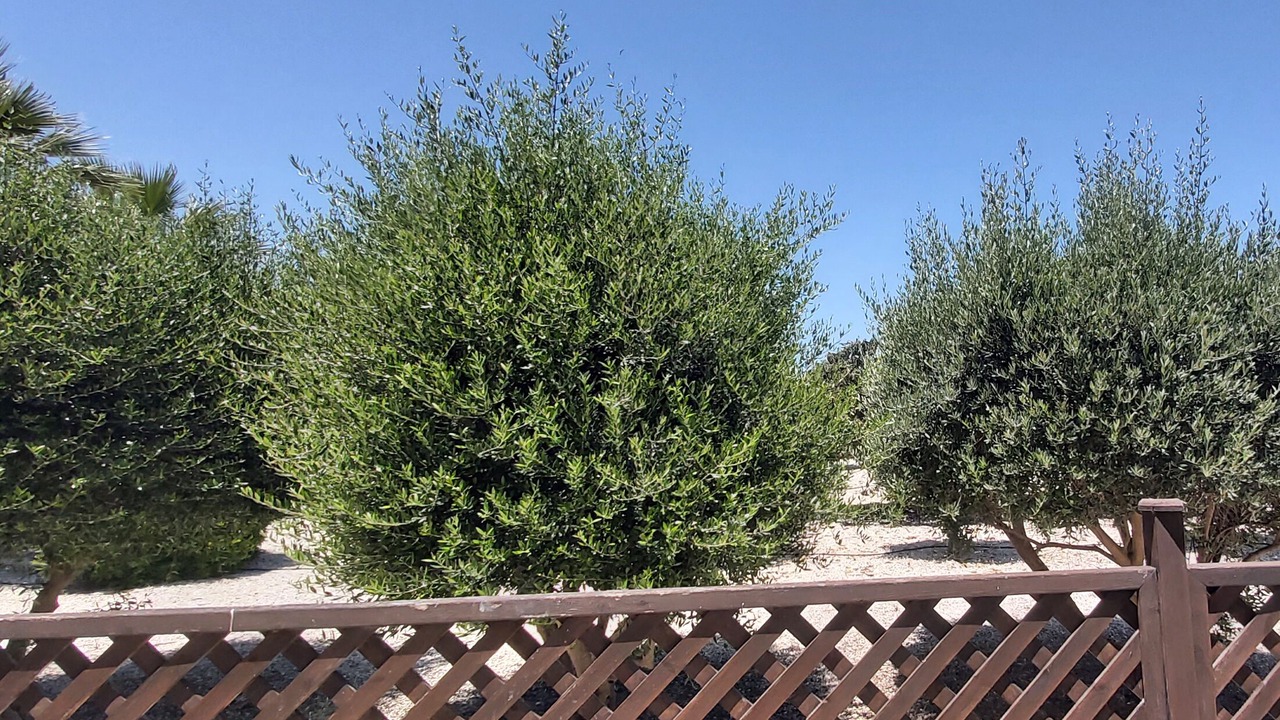 Photo of Outdoor in Prodromi