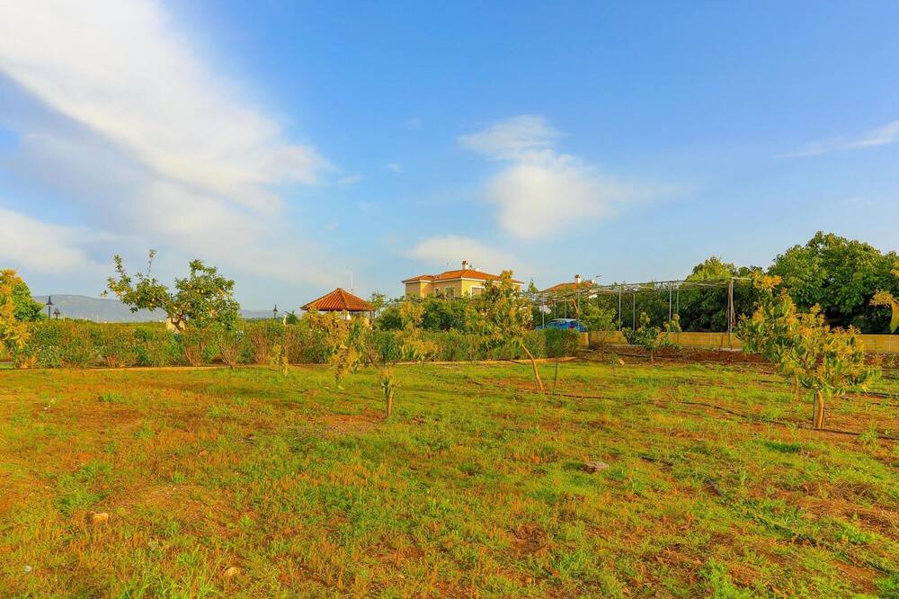 Photo of Outdoor in Latchi