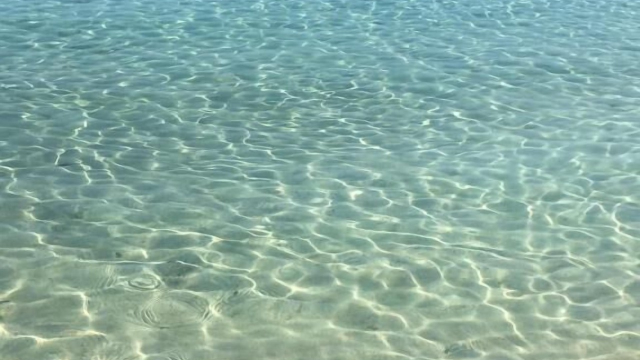 Photo of Others in Ayia Napa