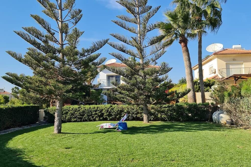Photo of Outdoor in Mazotos