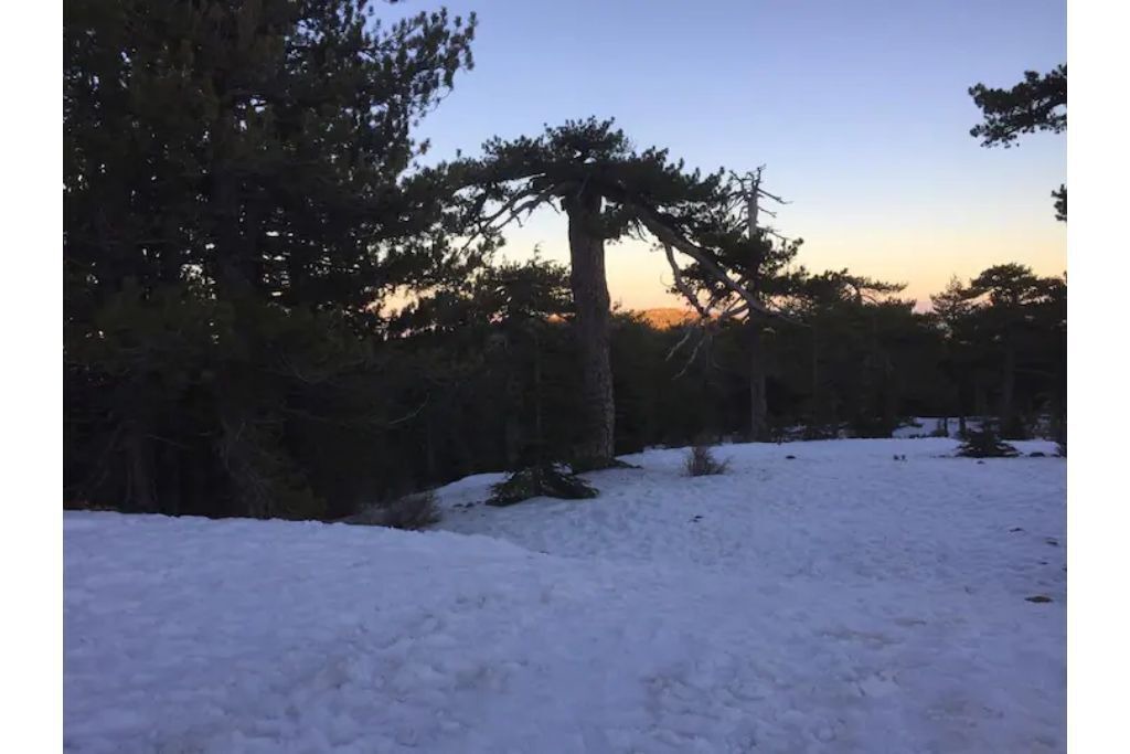 Photo of Outdoor in Omodos