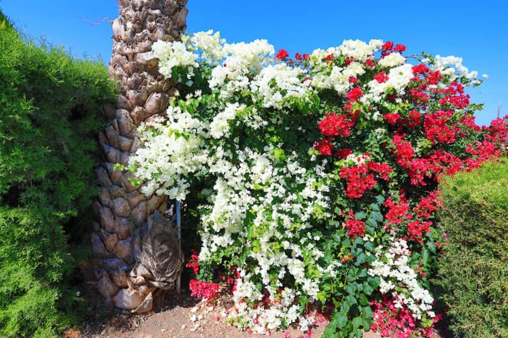 Photo of Outdoor in Argaka