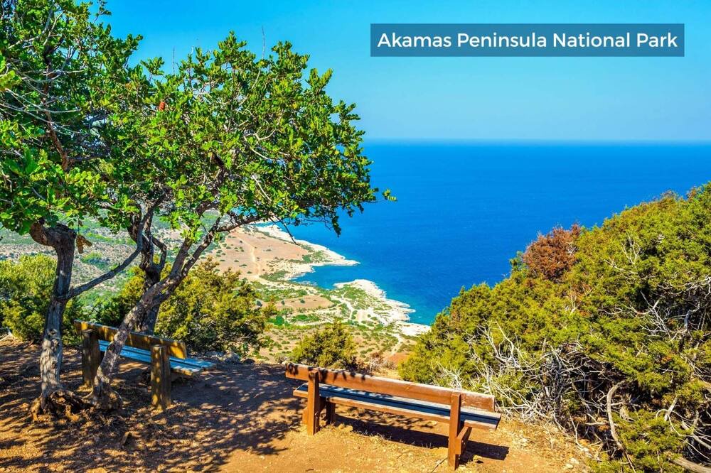 Photo of Others in Agios Georgios Pegeias