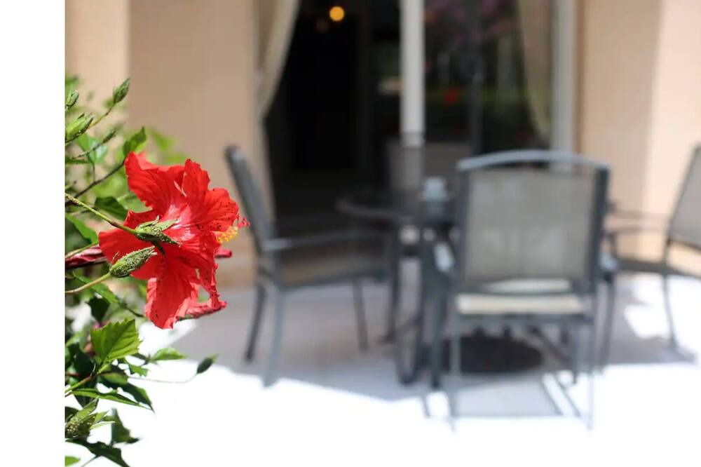 Photo of Patio Balcony in Universal