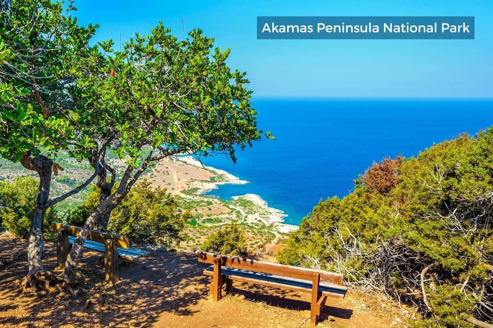Photo of Outdoor in Pegeia