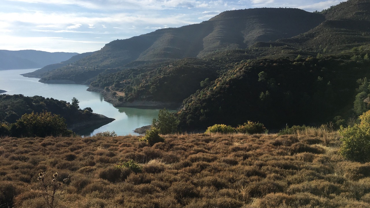 Photo of Outdoor in Ypsonas