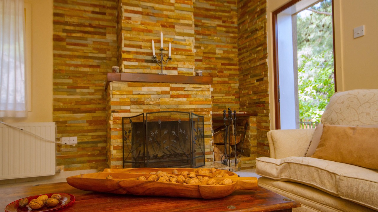 Photo of Livingroom in Platres