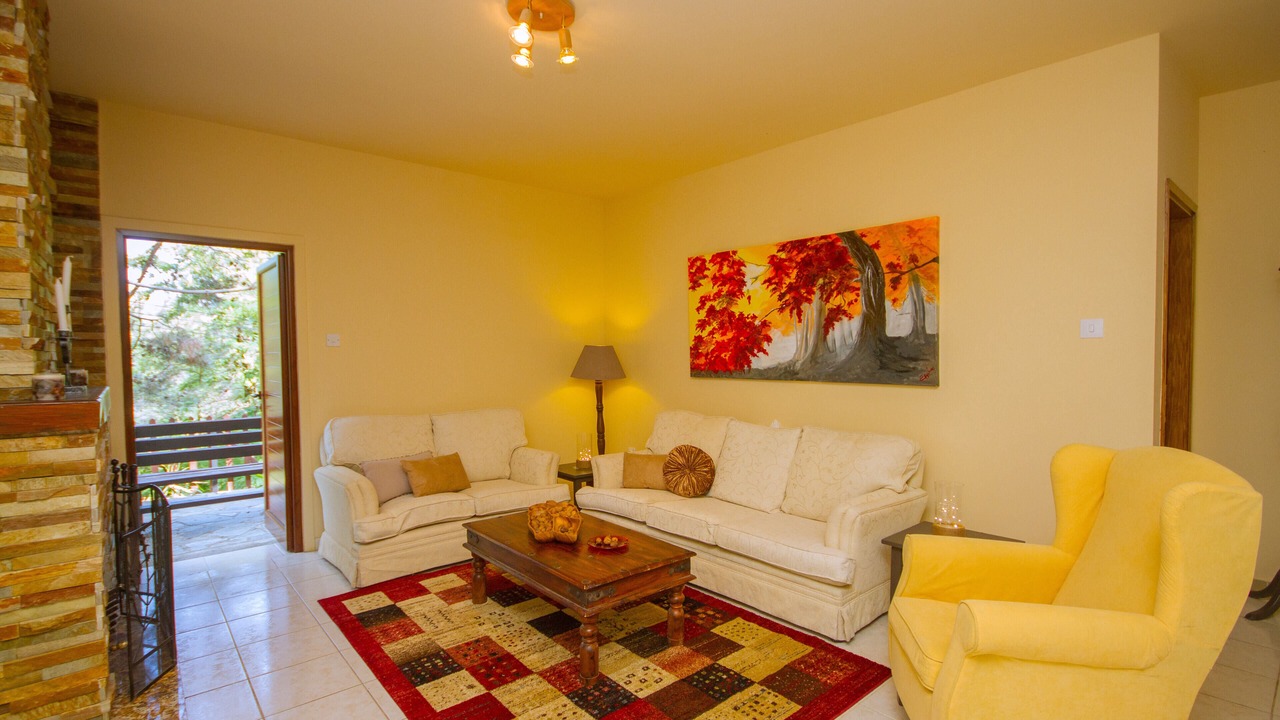 Photo of Livingroom in Platres