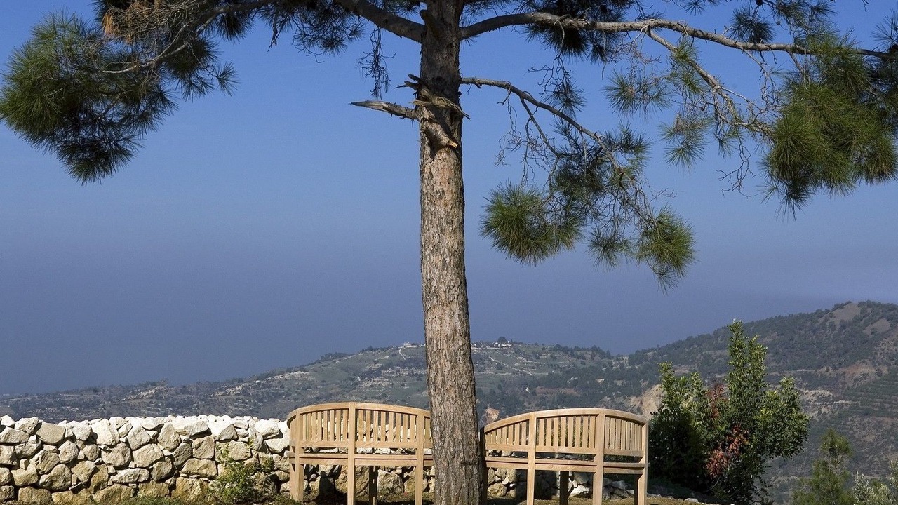 Photo of Others in Lysos