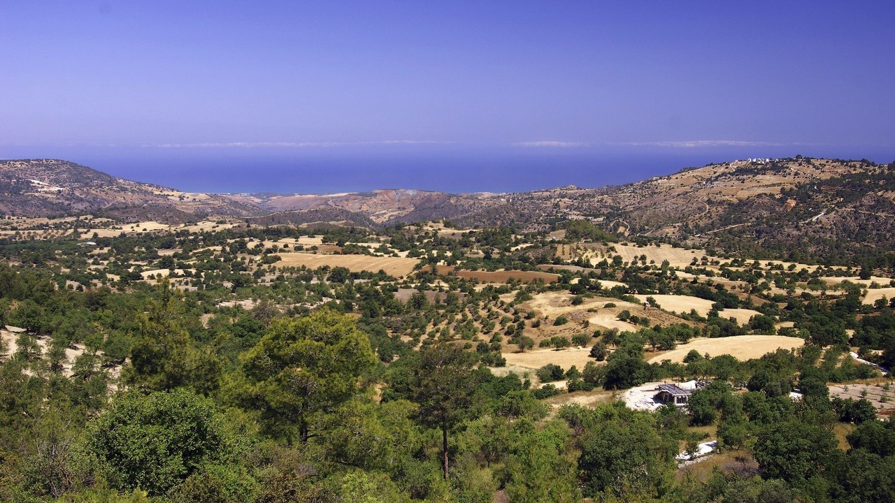 Photo of Others in Lysos