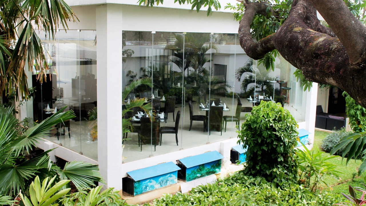 Photo of Outdoor in Managua