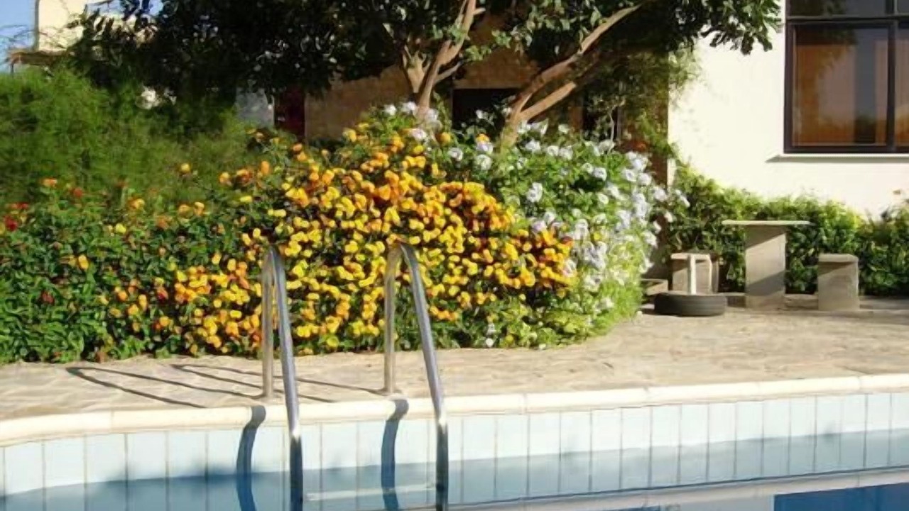 Photo of Outdoor in Kissonerga