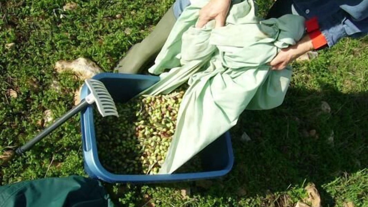 Photo of Outdoor in Kissonerga