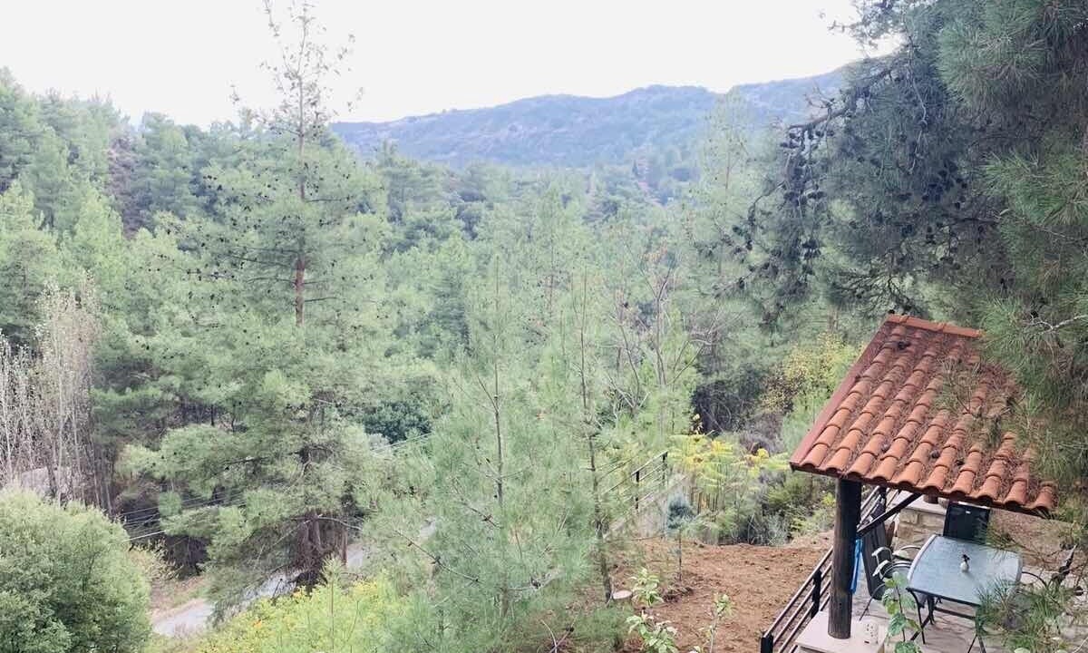 Photo of Outdoor in Vasa Koilaniou