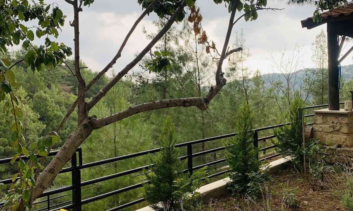 Photo of Outdoor in Vasa Koilaniou