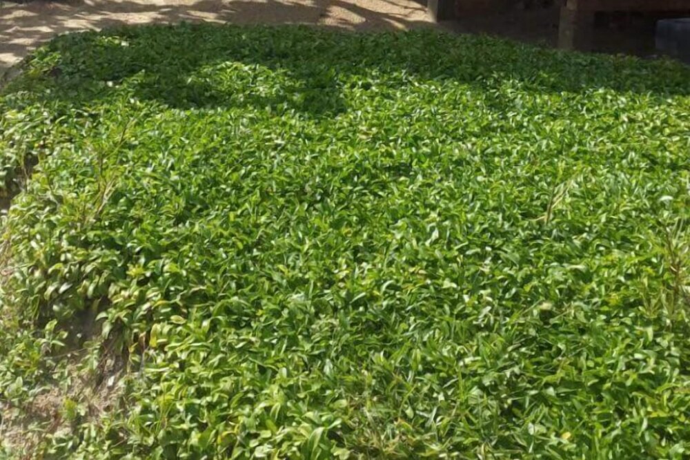 Photo of Outdoor in Little Corn Island