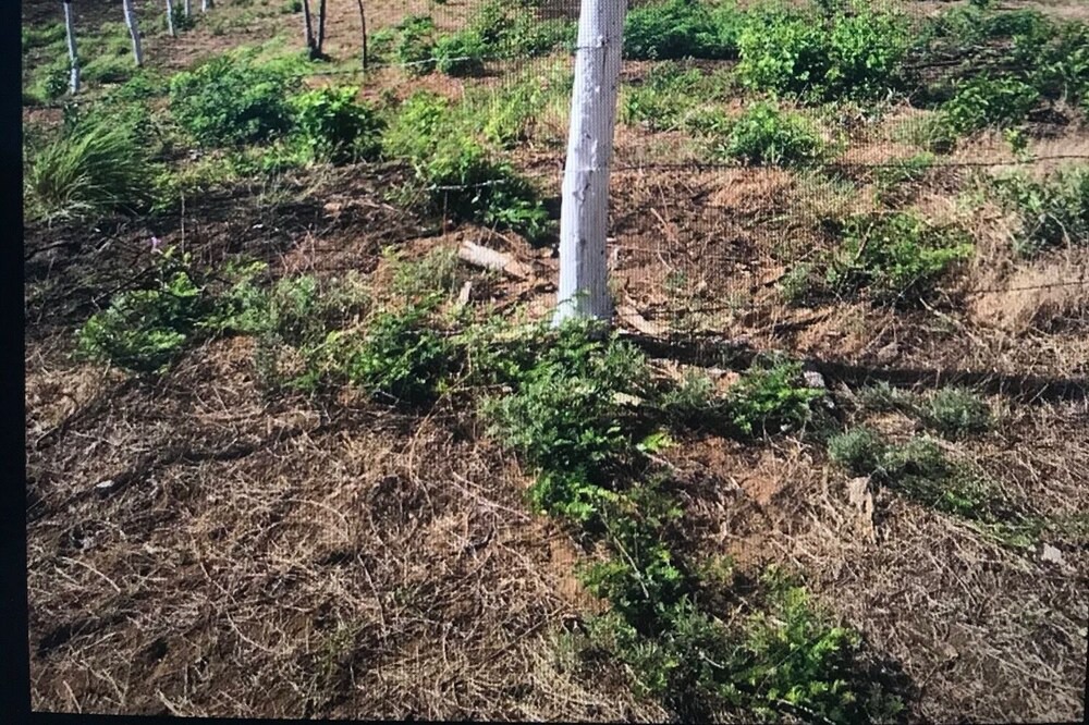 Photo of Outdoor in Rancho Santana