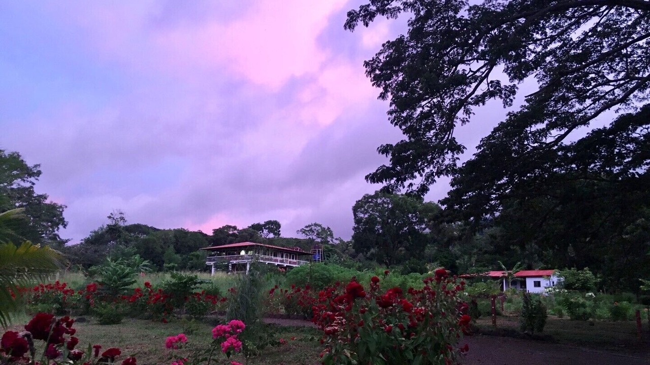 Photo of Outdoor in Balgue