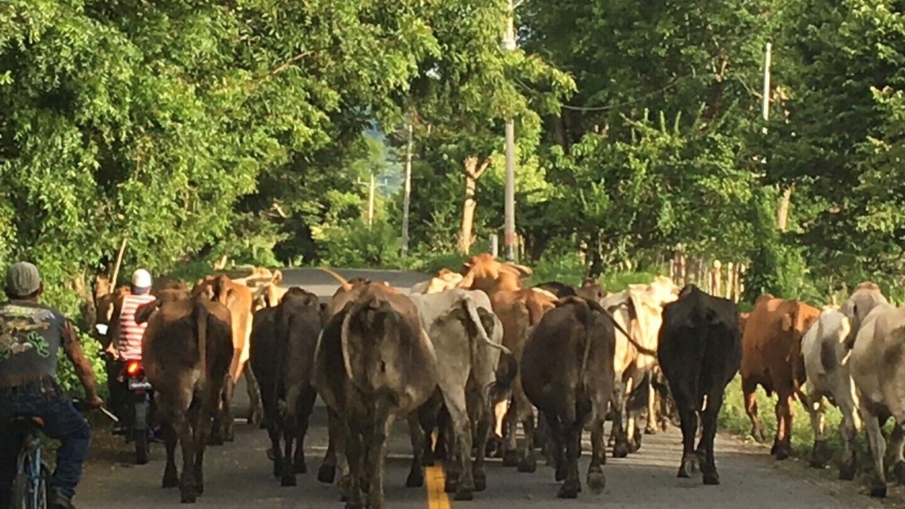 Photo of Others in Balgue