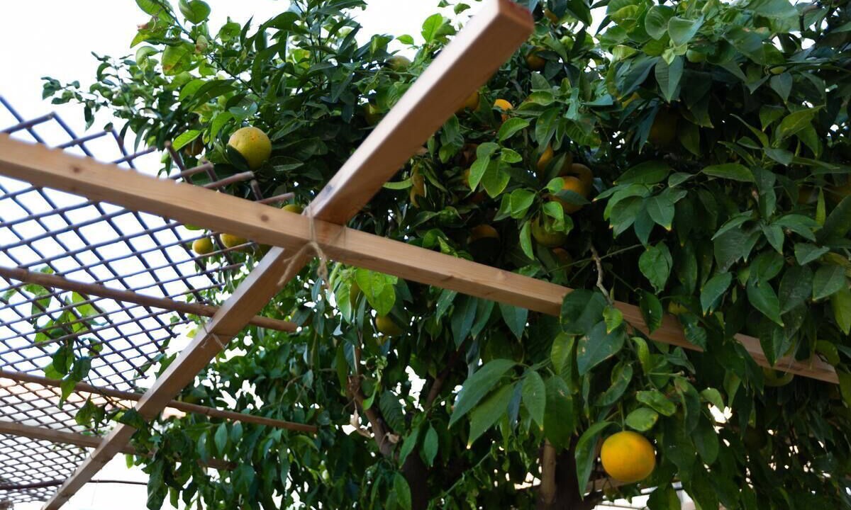 Photo of Outdoor in Larnaca