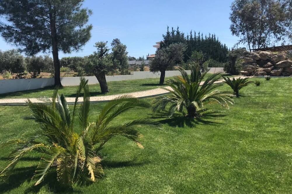 Photo of Outdoor in Kalo Chorio