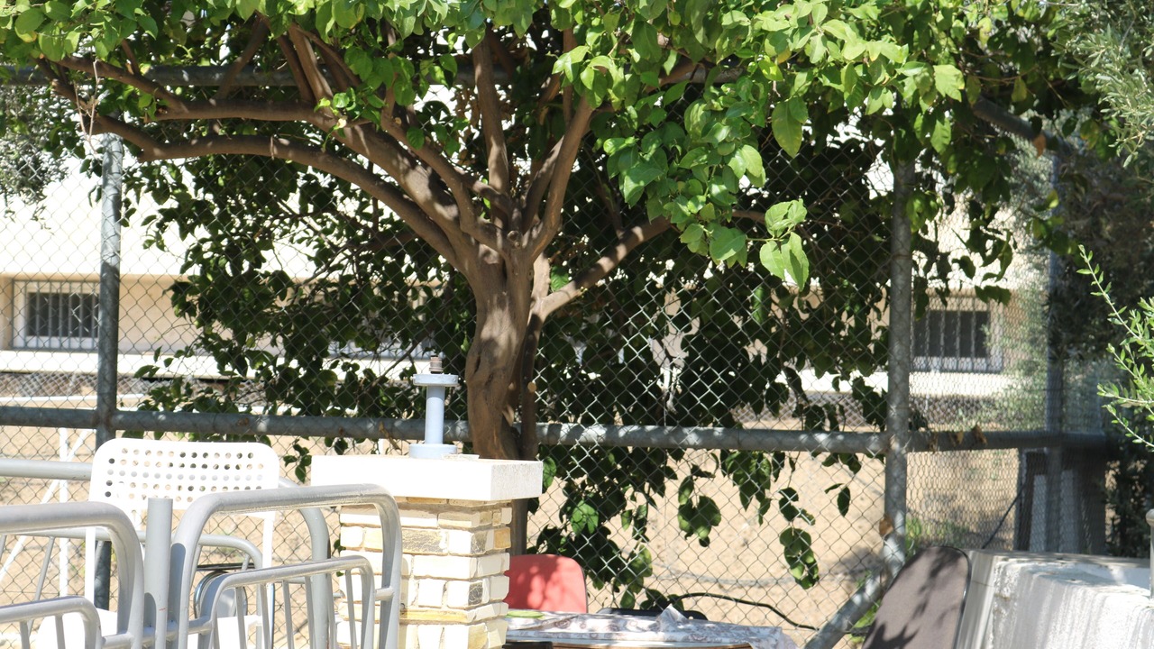 Photo of Outdoor in Nicosia