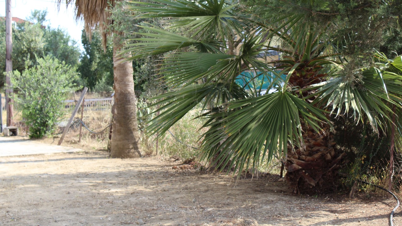 Photo of Outdoor in Nicosia